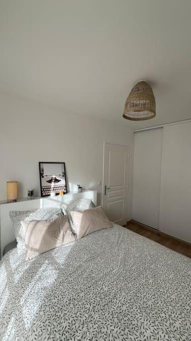 Le Nid Champenois Daire Reims Dış mekan fotoğraf